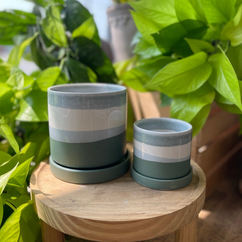 Greer Pot with Saucer