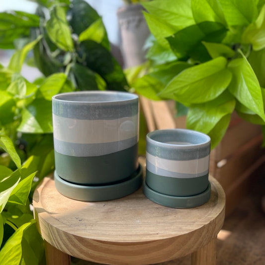 Greer Pot with Saucer
