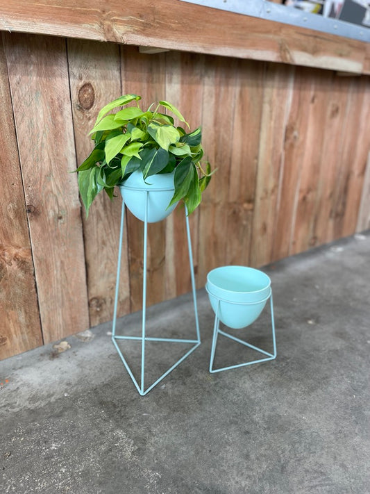 Kelly Plant Stand