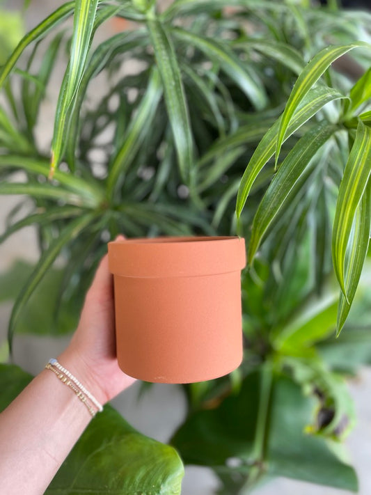 Klamath Terracotta Pot