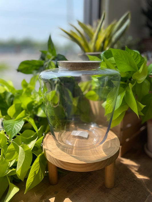 Message Terrarium