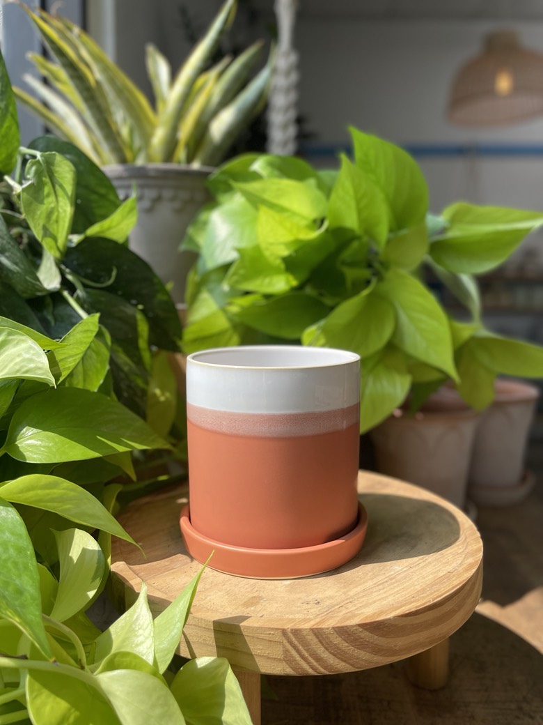 Hadley Pot