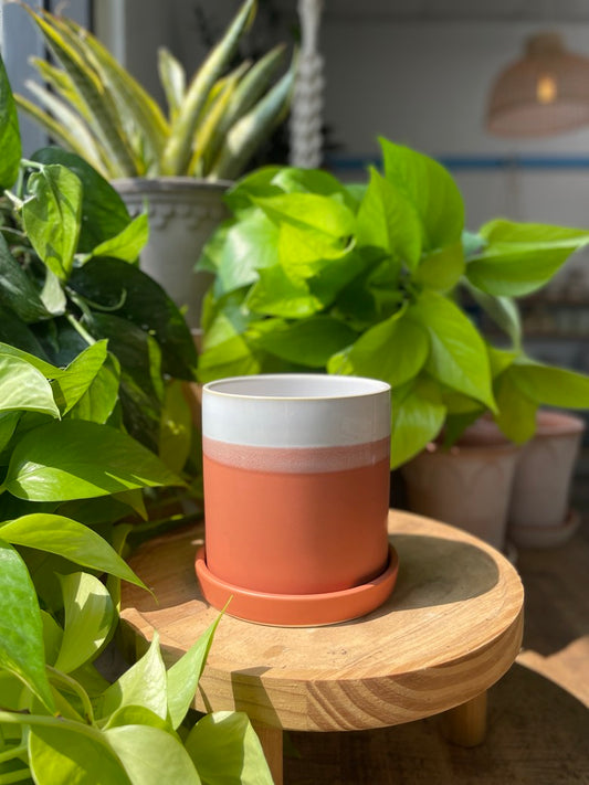 Hadley Pot