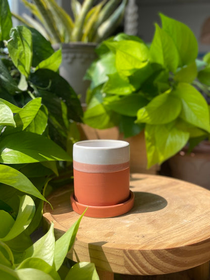 Hadley Pot