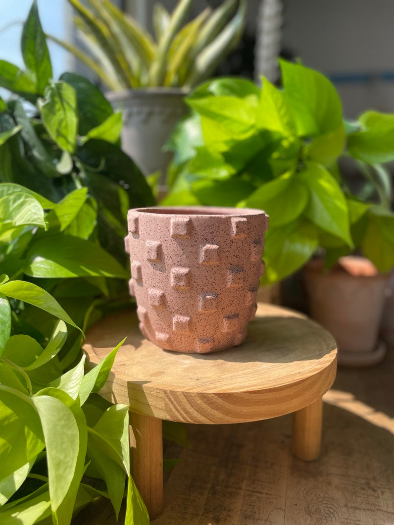 Ticul Pot
