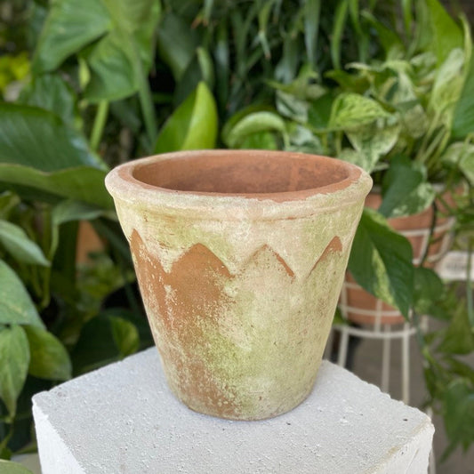 Harlequin Pot