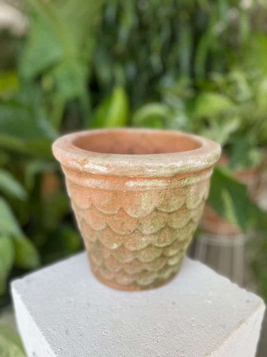 Dragonscale Pot