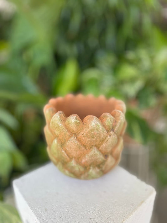 Pine Cone Pot