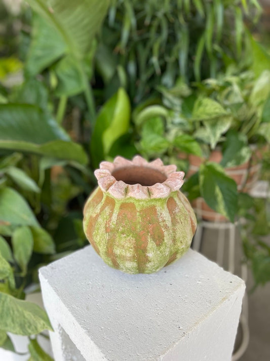 Poppy Pot