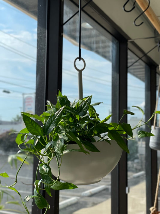Leti Hanging Bowl