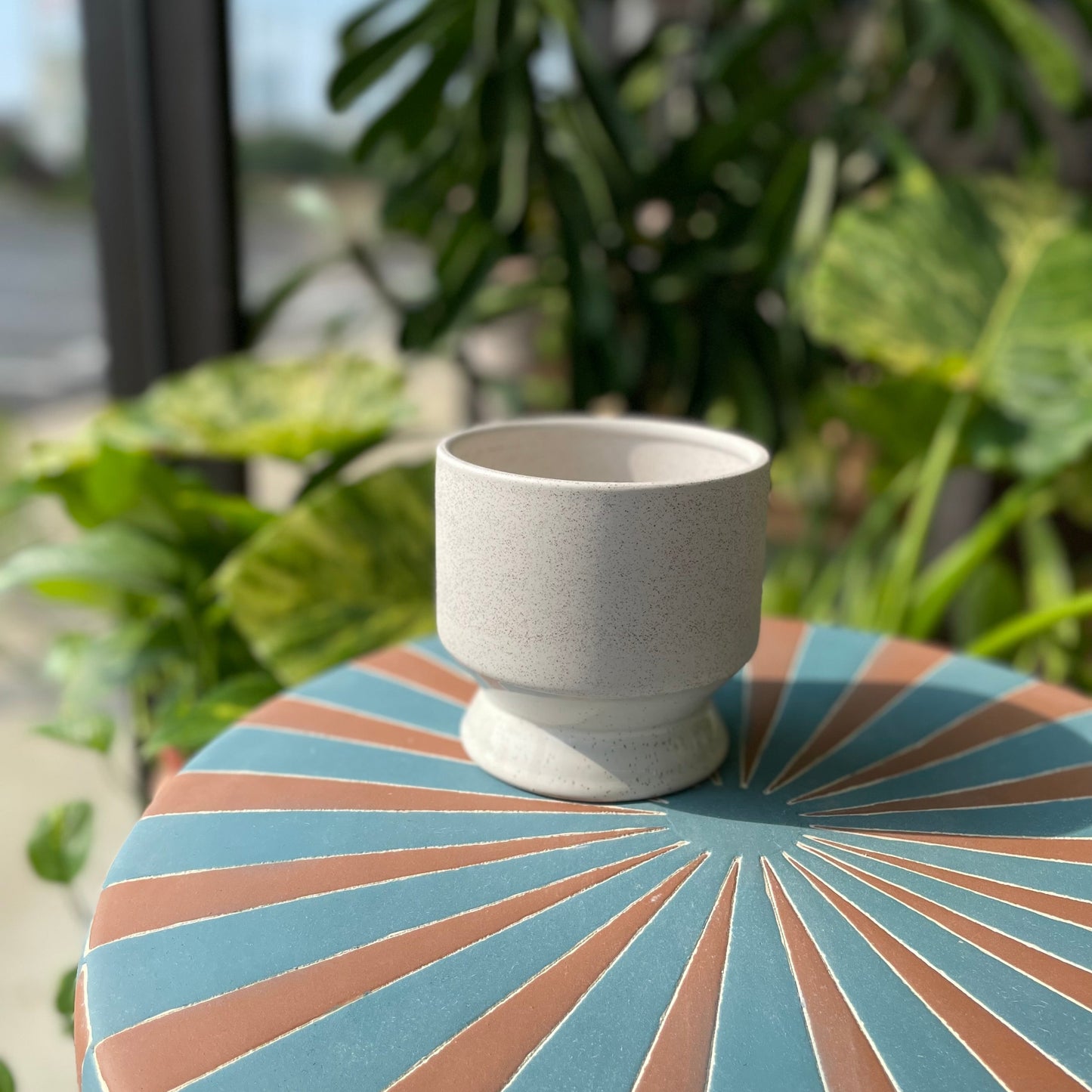 Pasadena Pot