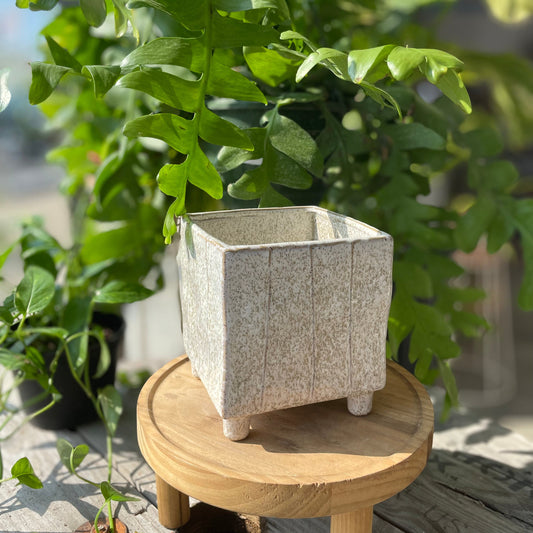 Terragona Square Pot