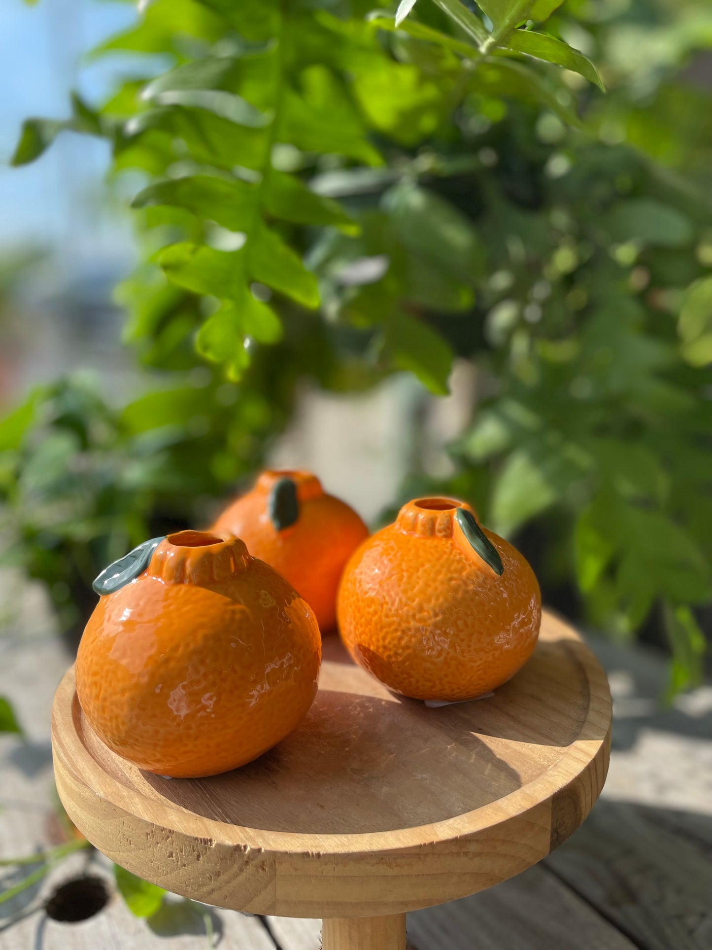 Tangerine Propagation Holder