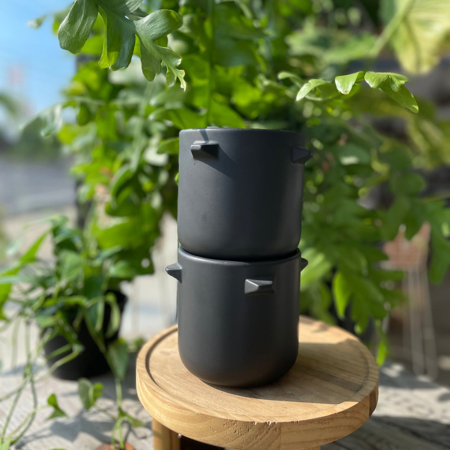 Spike Pot