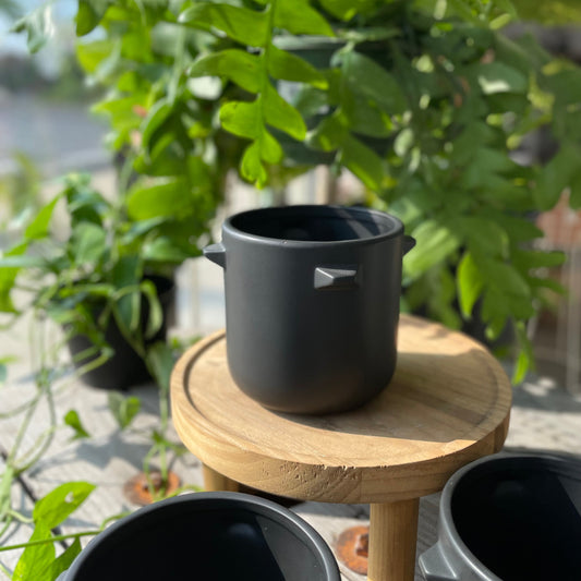 Spike Pot