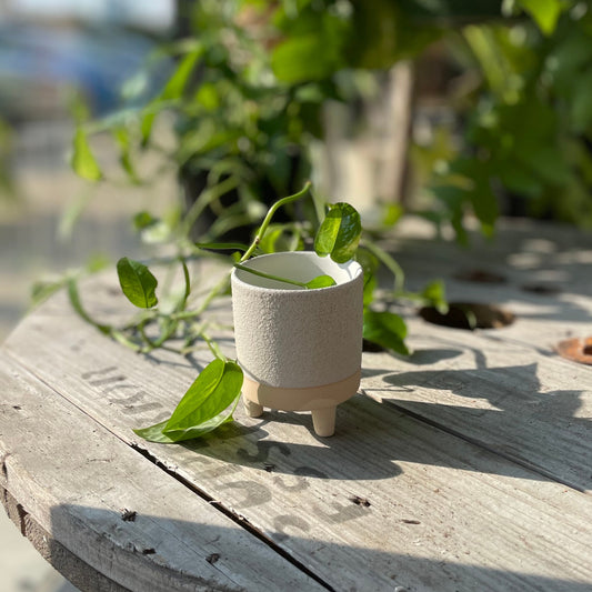 Delray Footed Pot