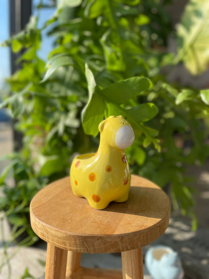 Mini Animal Planter