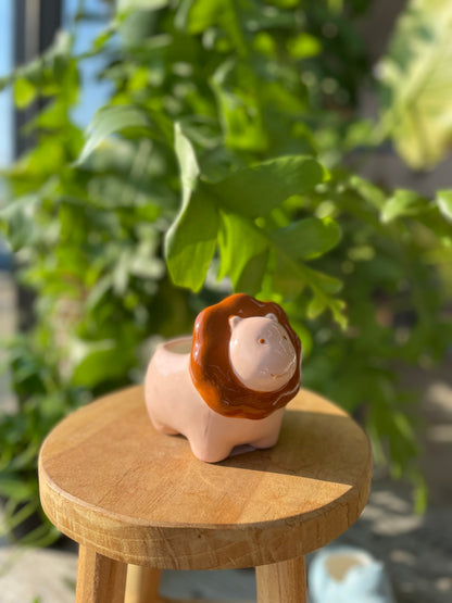 Mini Animal Planter