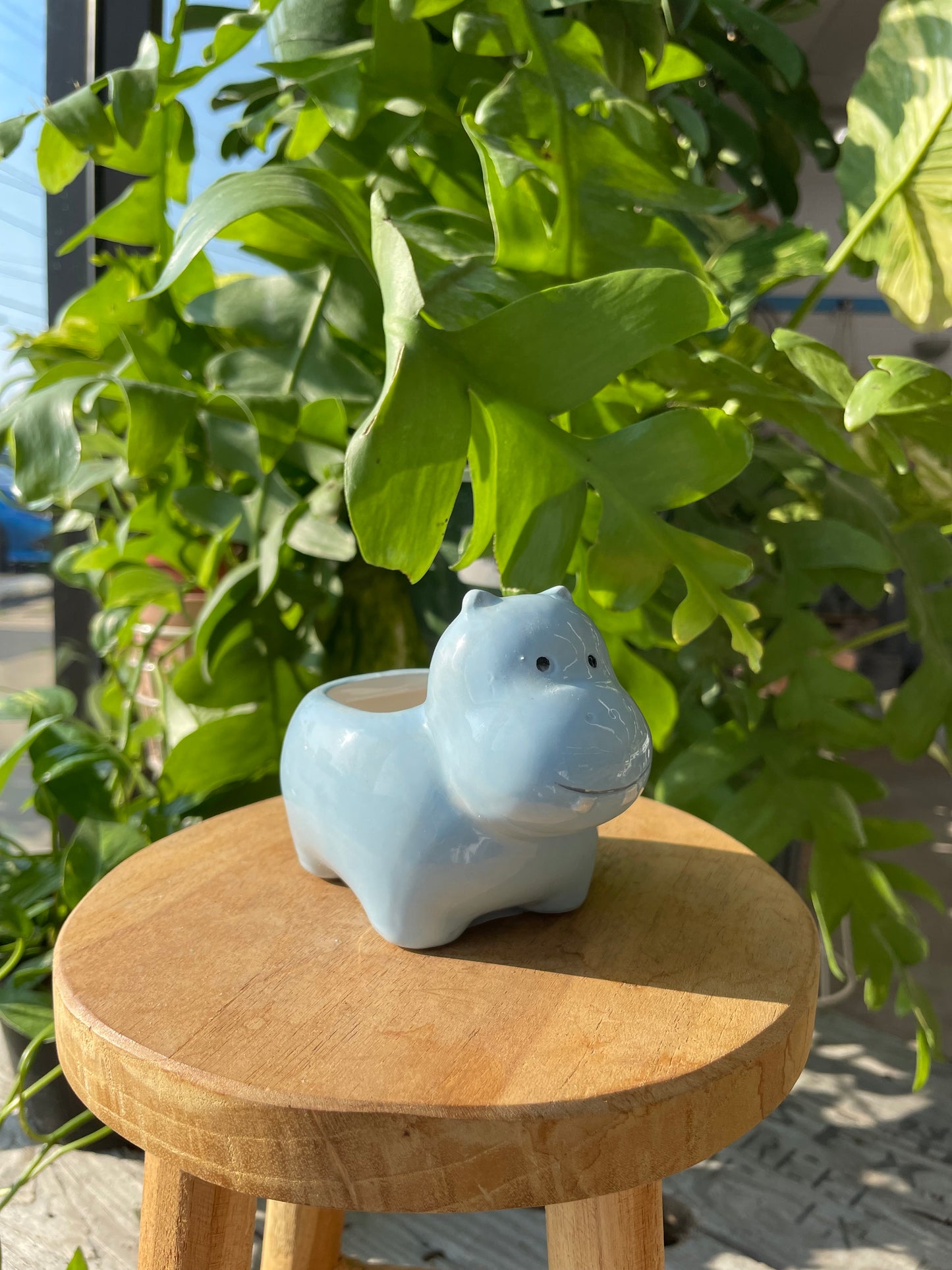 Mini Animal Planter