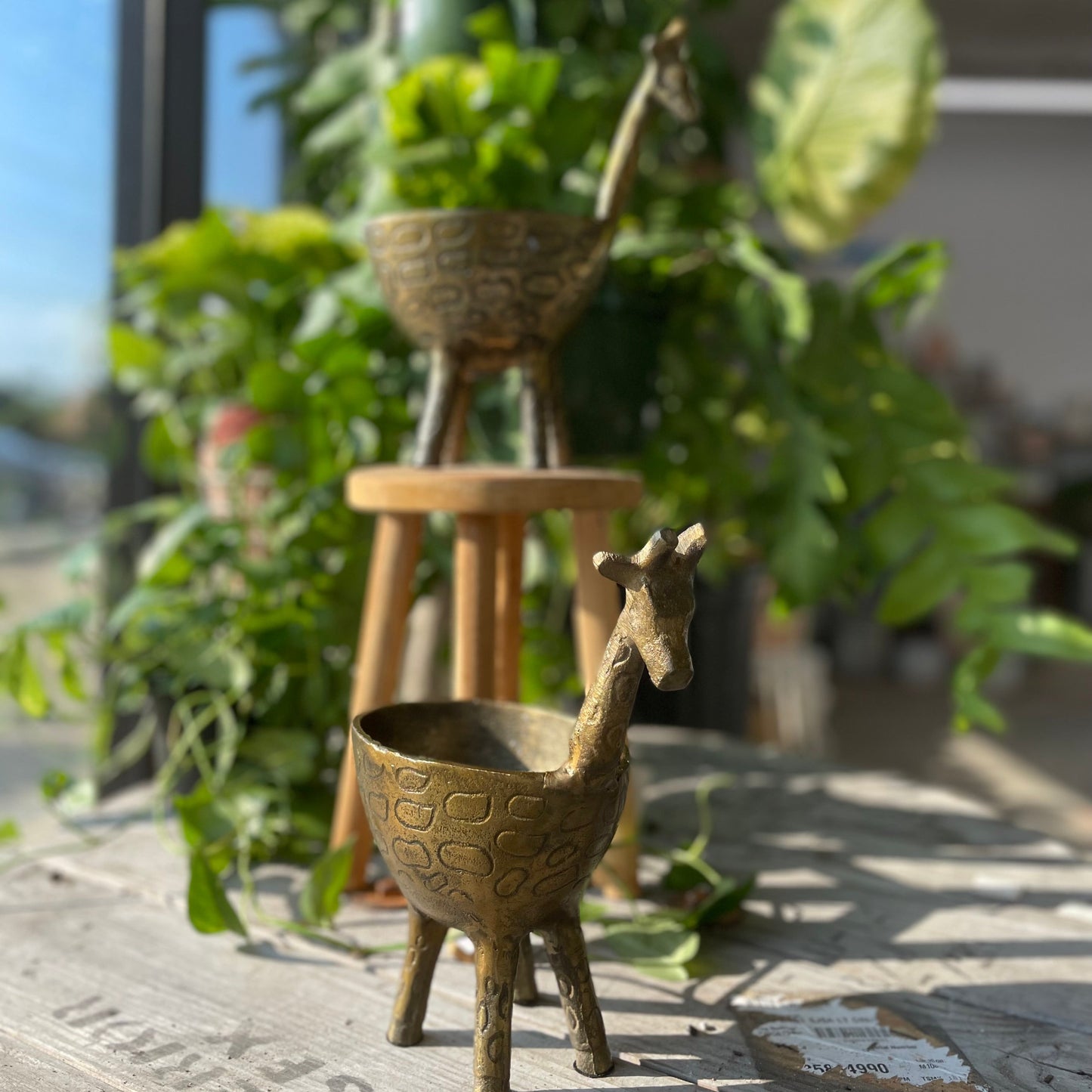 Gia Giraffe Planter