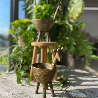 Gia Giraffe Planter