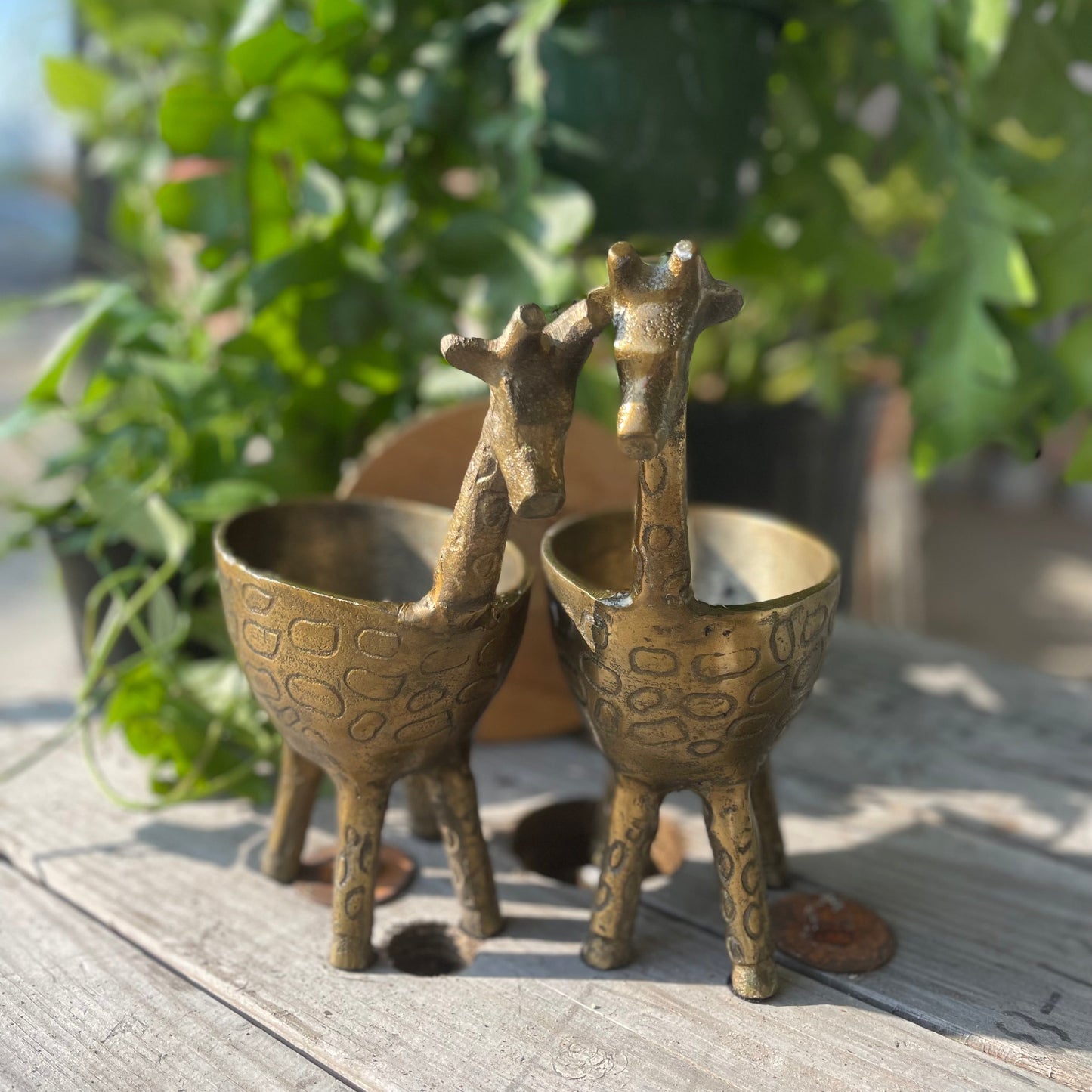 Gia Giraffe Planter