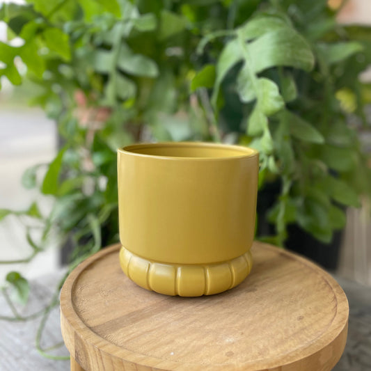 Fara Pot