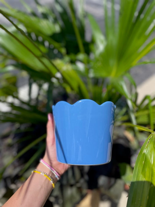 The Petal Pot