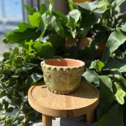 Leaf Pot