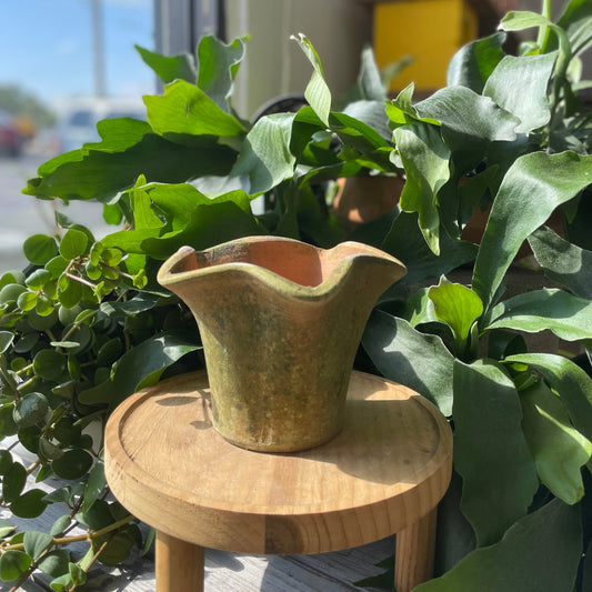 Star Pot