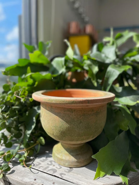 Copa Pot
