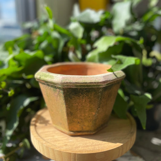 Octagonal Planter