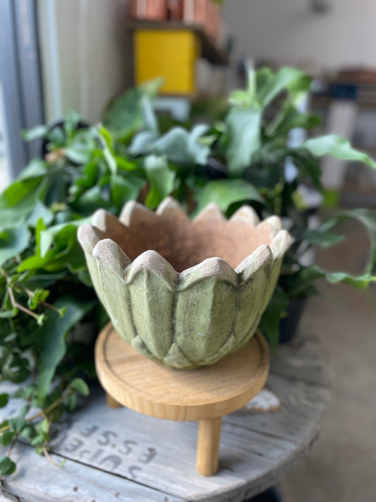 Blossom Planter