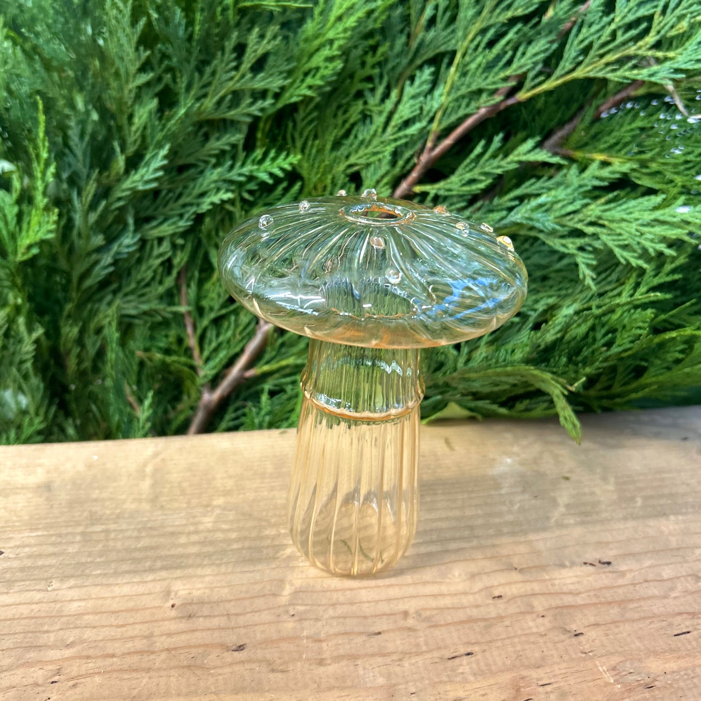 Dune Glass Mushroom Prop Glass