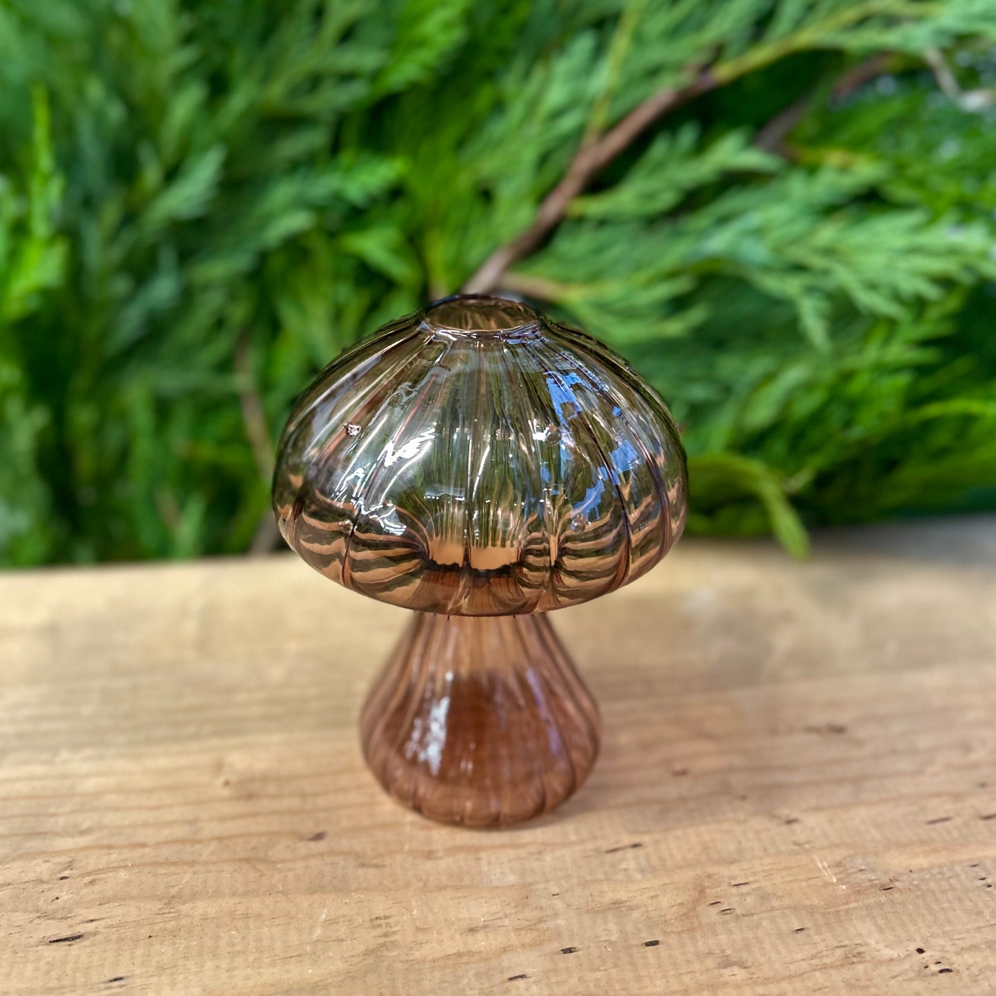 Deep Burgundy Glass Mushroom Prop Glass