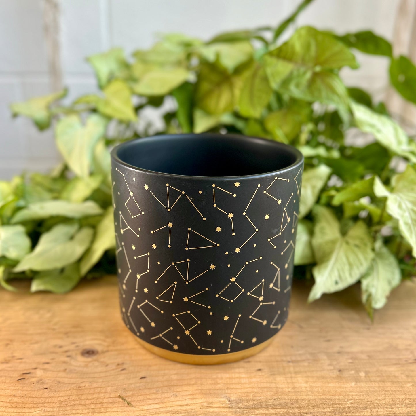 Constellation Pot
