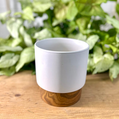 Wood Bottom Graduated Cylinder Pot