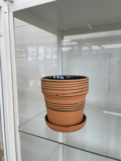 Tiger Stripe Pot