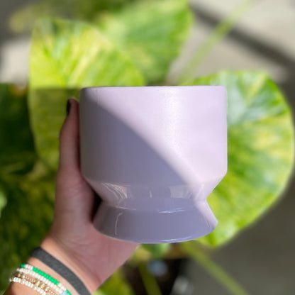 Pasadena Pot