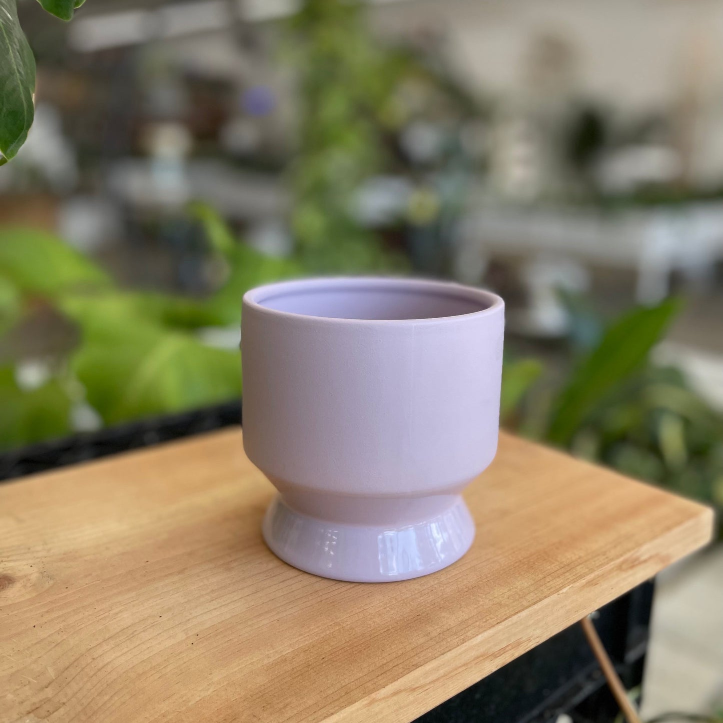 Pasadena Pot
