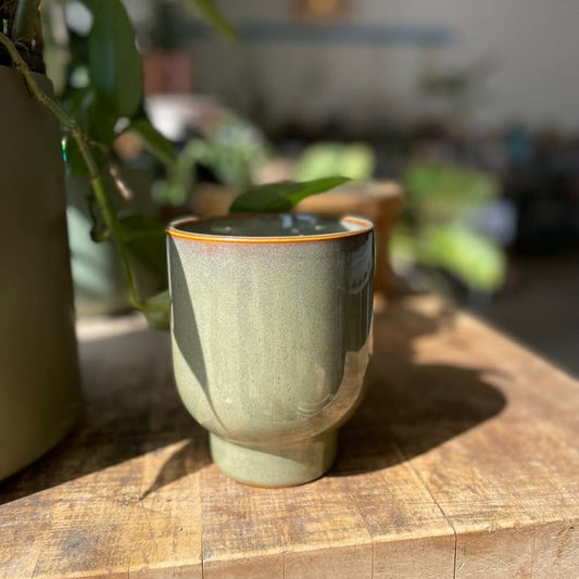 Fischer Pot