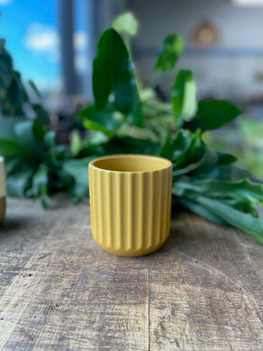 Beam Pot