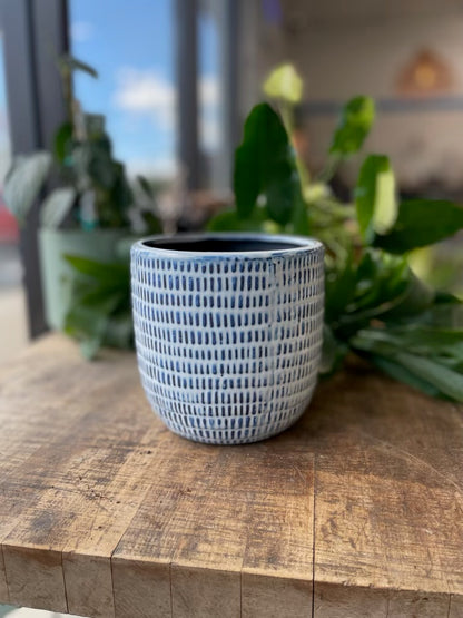 Jupiter Pot