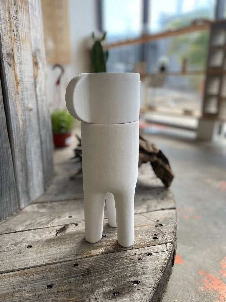 Dache Pot w/ Saucer
