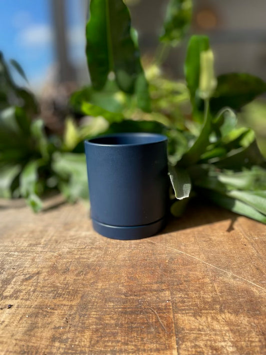Romey Pot w/ Saucer