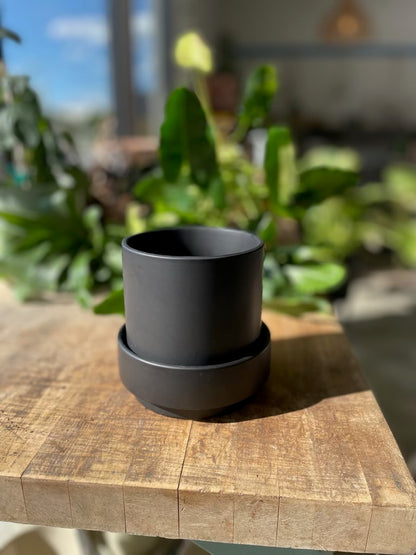 Claxton Pot