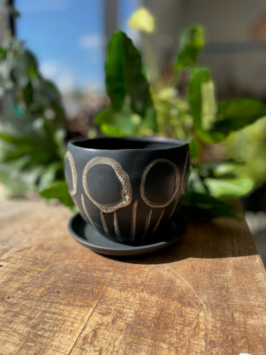 Hootie Hoo Pot