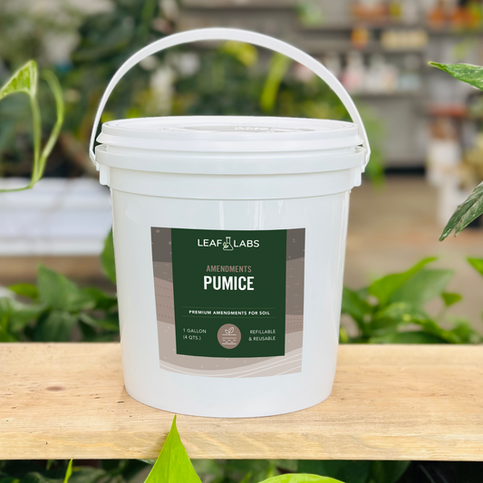 LeafLabs Pumice