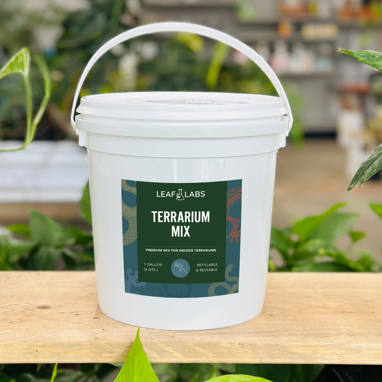 LeafLabs Terrarium Mix