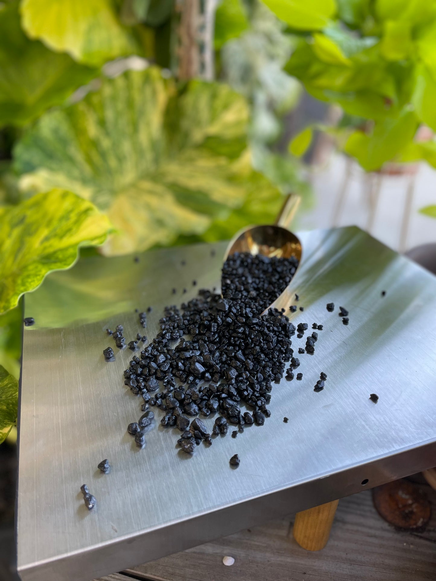 LeafLabs Black Pebbles